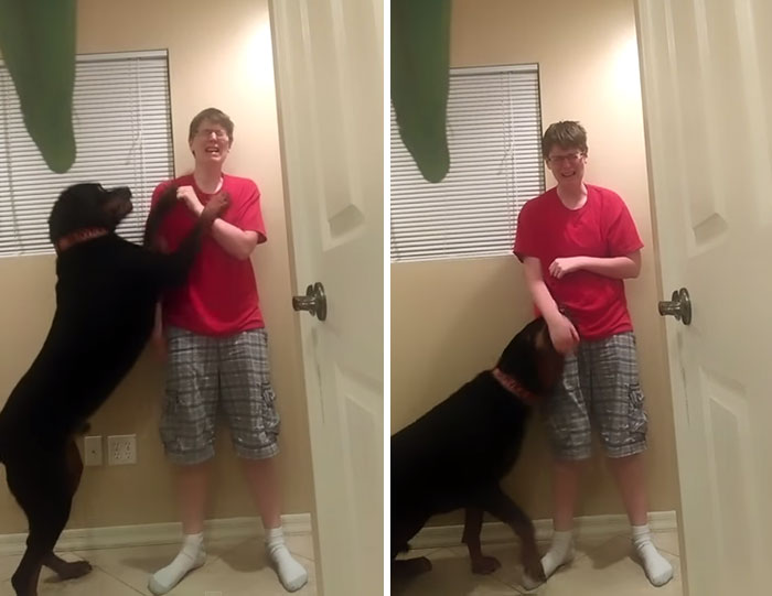 dog-asperger-meltdown-intervention-danielle-jacobs-3