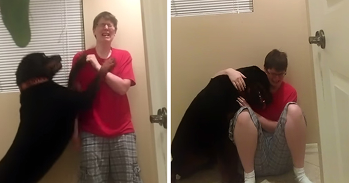 Dog Saves Owner With Asperger’s Syndrome From Violent Meltdown