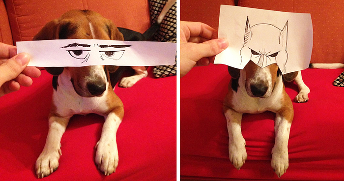 I Create Funny Eye Illustrations For My Dog Juno
