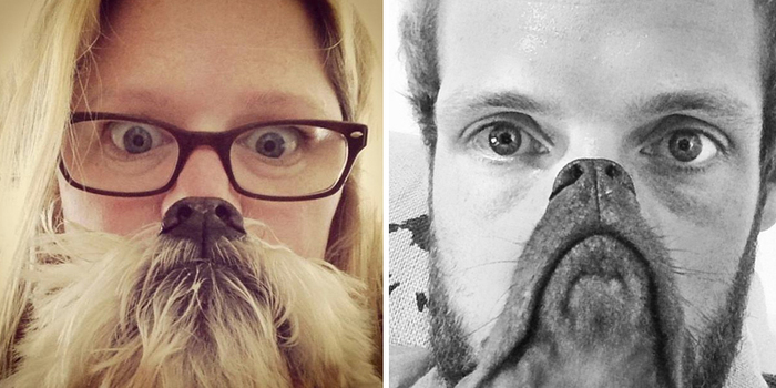 Could You Do Better Than These Dog Smile Selfies?