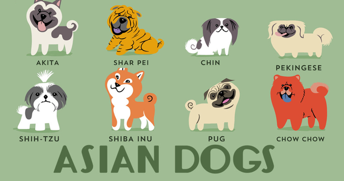Dogs Of The World: Cute Posters Show The Origins Of 200+ Dog Breeds