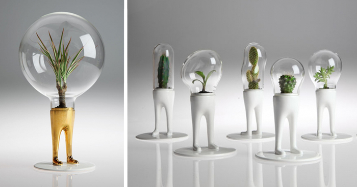 Artist’s Surreal Terrariums Give Plants Legs