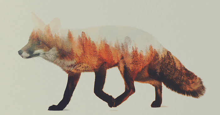 Double-Exposure Animal Portraits By Norwegian Photographer