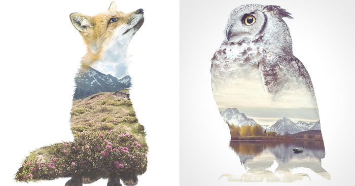 We Take Double-Exposure Animal Portraits To Escape The Daily Routine
