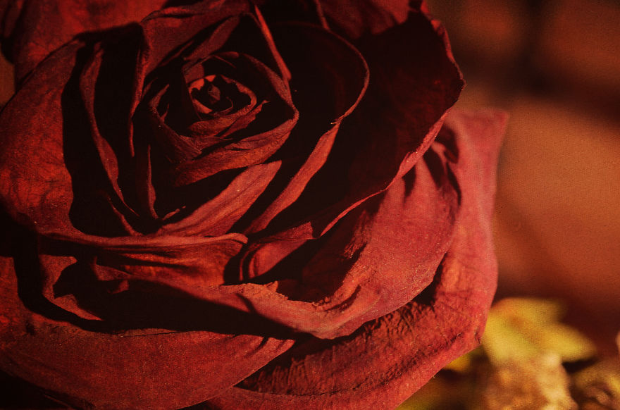 My Entry To The Fifth Annual Exposure Photography Contest