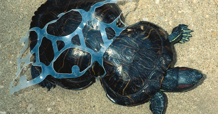 119 Heartbreaking Photos Of Pollution That Will Inspire You To Recycle
