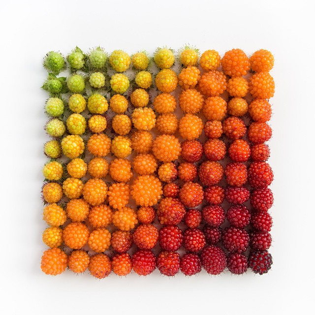 Satisfying Arrangements Of Everyday Objects By Emily Blincoe