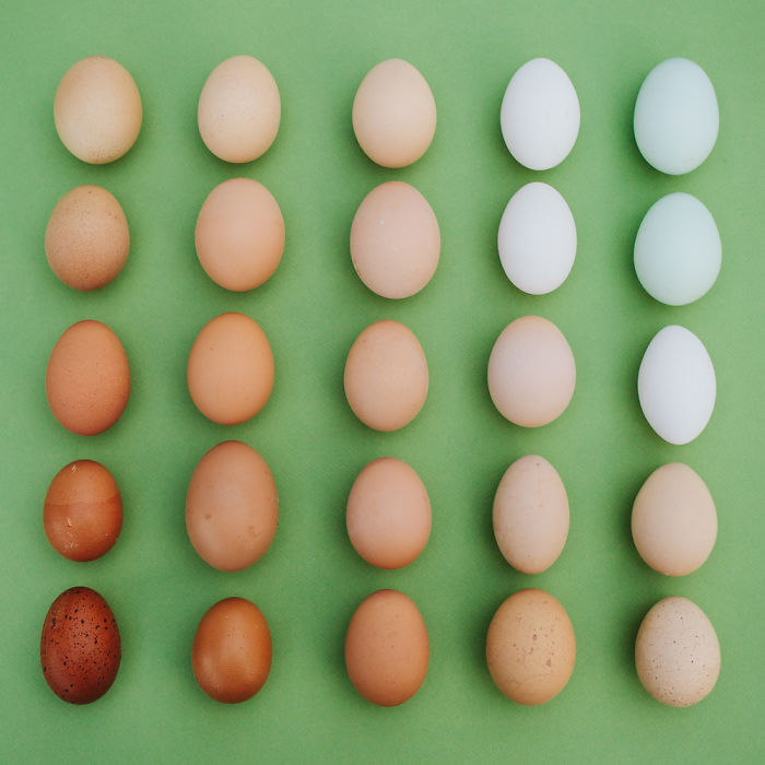 everyday-objects-arrangements-emily-blincoe-15