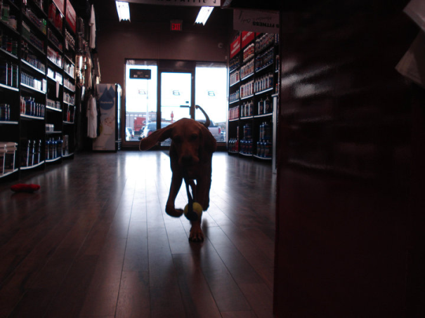 Staying Fit At Body Systems Nutrition!