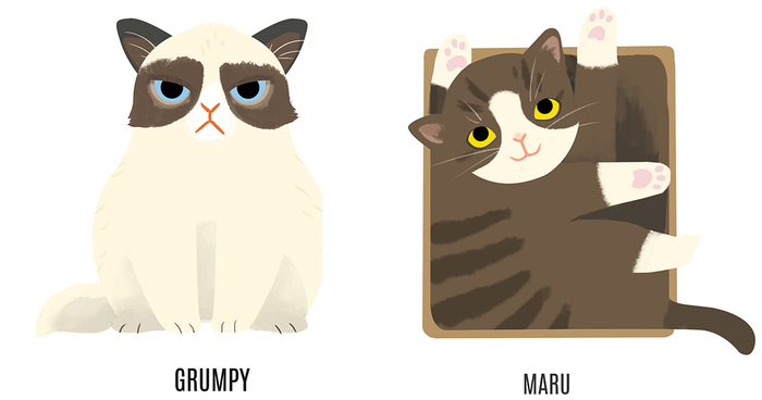I Draw The Most Famous Cats On The Internet