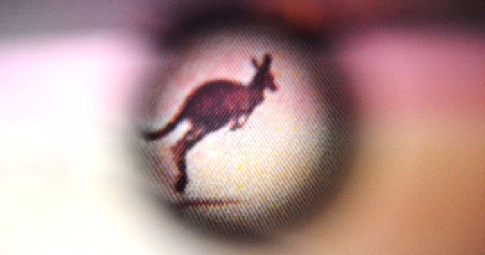 I Take Macro Photos With A Twist