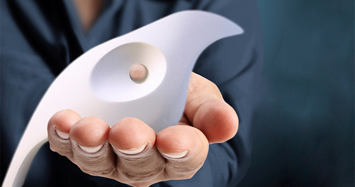 The Messenger: Track This Bird Traveling The World