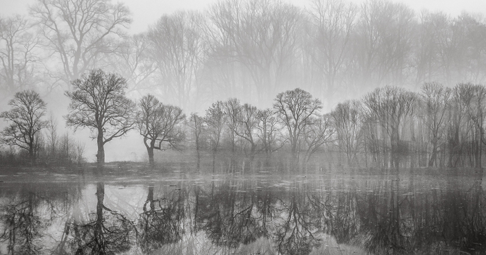 My Double Exposure Landscapes