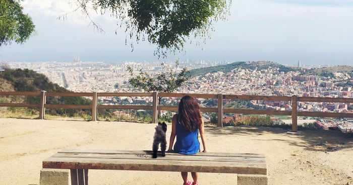 “Travel” With My Dog: I Photoshopped My Dog Into My Traveling Photos