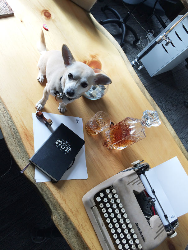 Fernando Is Copywriter For The Day!