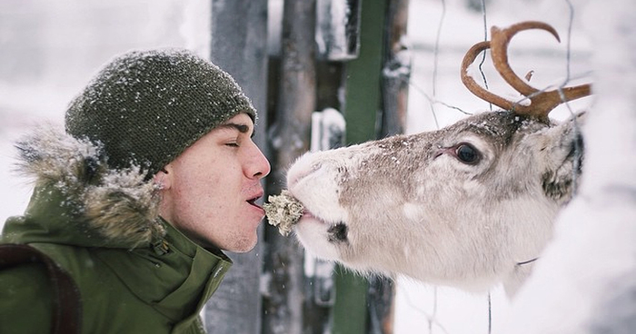 Finnish Squirrel-Whisperer Feeds Wild Animals For Cute Wildlife Photos