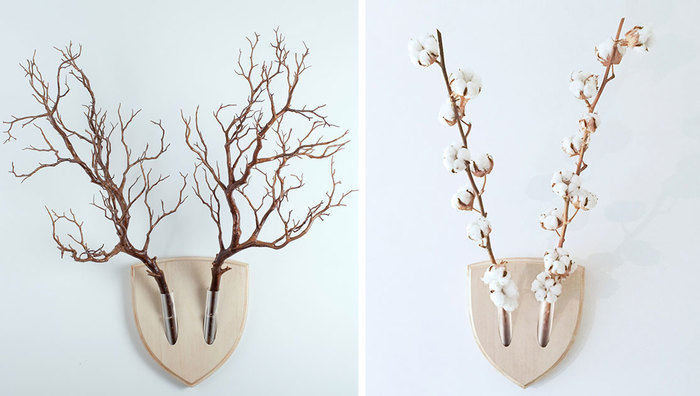 Forget Dead Animals – Bring Your Walls To Life With This Plant Wall Trophy