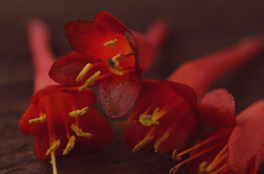 My Entry To The Fifth Annual Exposure Photography Contest