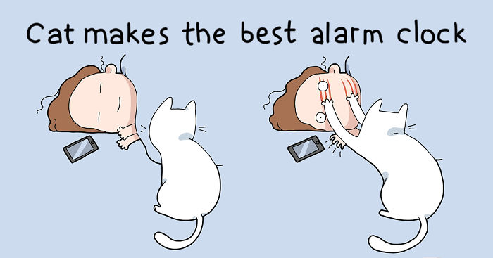 10 Benefits Of Having A Cat