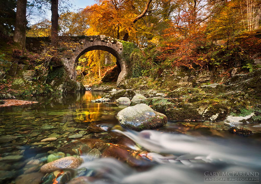 Forest In The North: Tollymore Forest Park, Northern Ireland