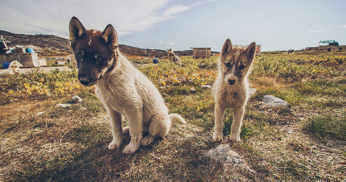 I Visited Greenland Off-Season And Had The Chance To Hike Everywhere All Alone