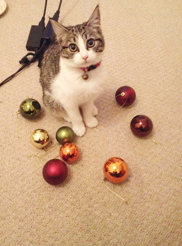 We Found Her Collection Under The Sofa
