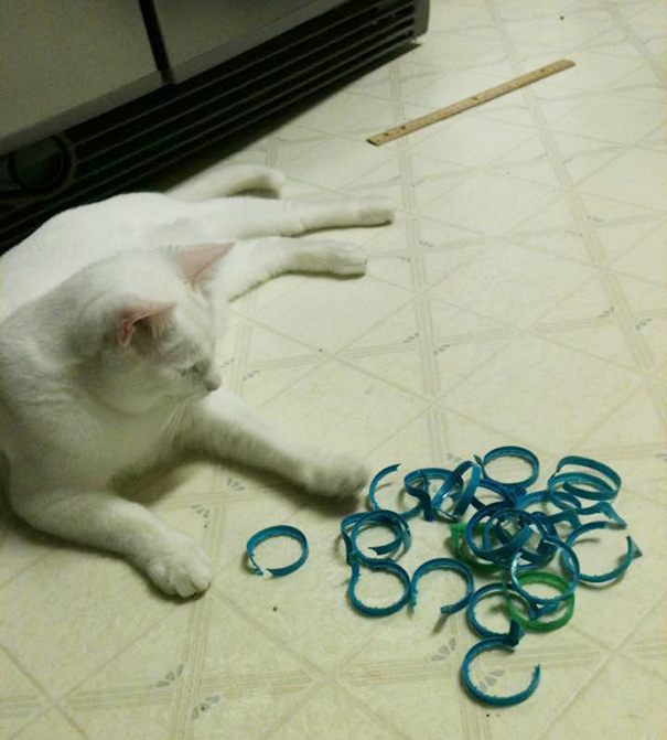 For Us, It's Rings Off Milk Jugs