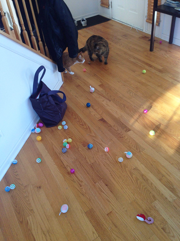 I Just Moved My Couch