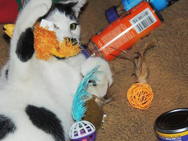 Hoarding Is A Serious Issue In Our House