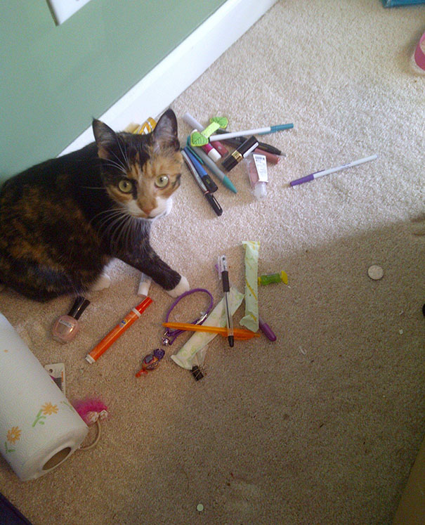 In The Process Of Moving, I Found Her Stash