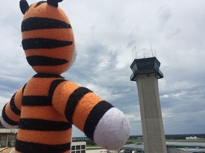 hobbes-stuffed-animal-lost-airport-tampa-international-owen-lake-1 hobbes-stuffed-animal-lost-airport-tampa-international-owen-lake-1