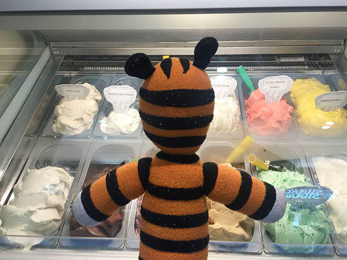 hobbes-stuffed-animal-lost-airport-tampa-international-owen-lake-2 hobbes-stuffed-animal-lost-airport-tampa-international-owen-lake-2