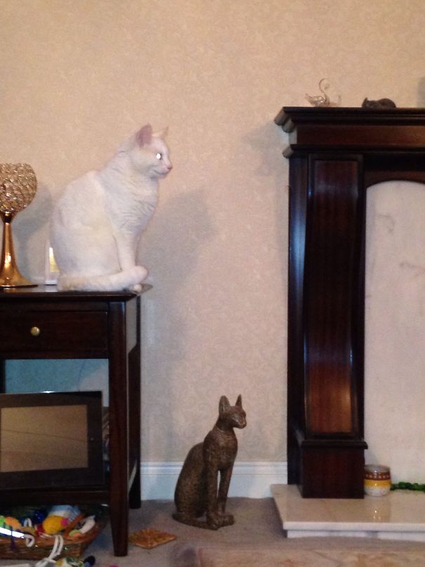 Which Ones The Statue?