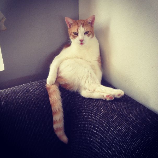 You Got Nothing On Me