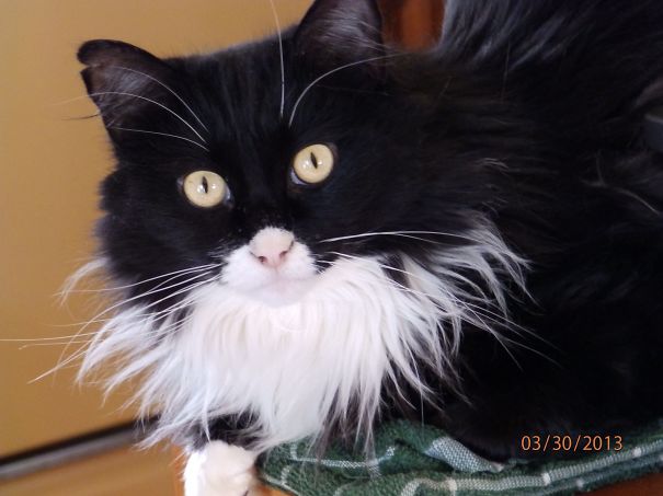 My Sweet Rescue Lucky!!!