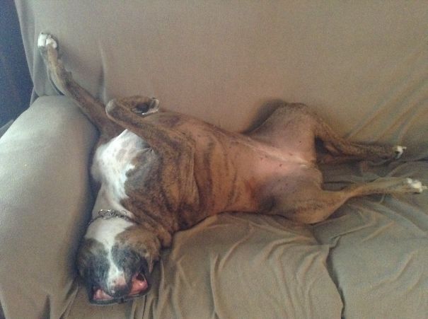 Draw Me Like A French Boxer !