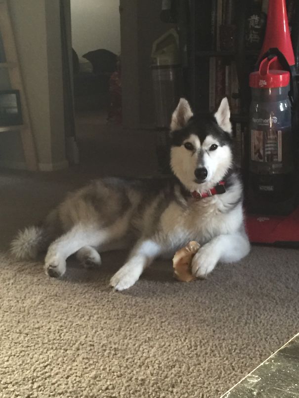 Draw Me Like One Of Your French Girls, Jack