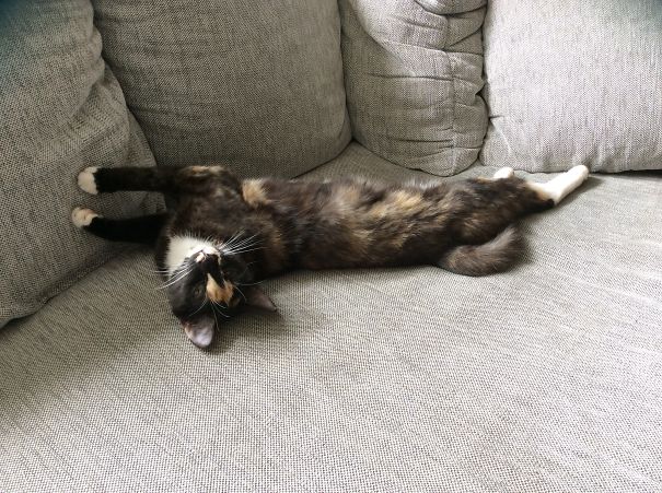 Draw Me Like One Of Your French Girls