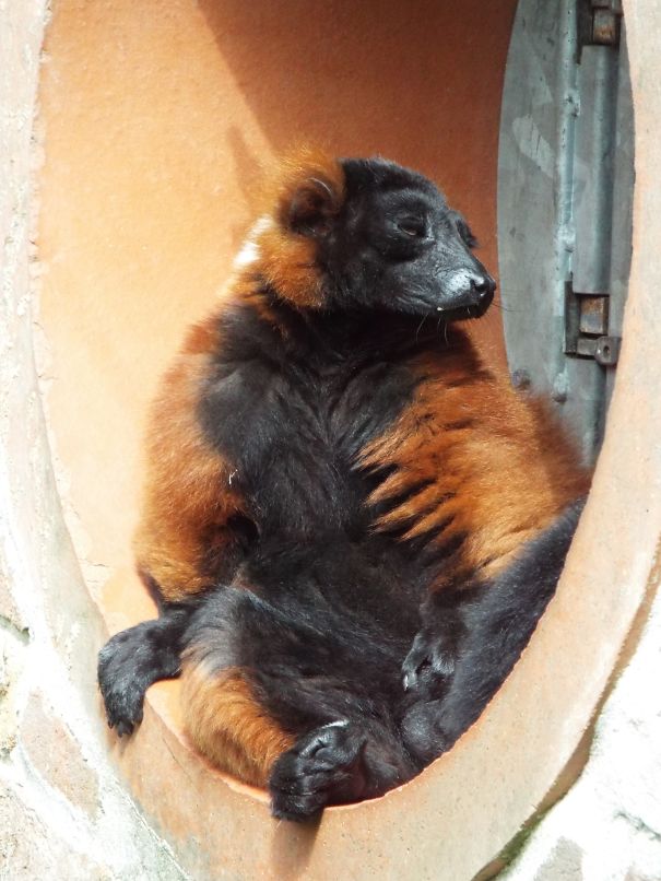 Oh! I Didn't See You Over There...