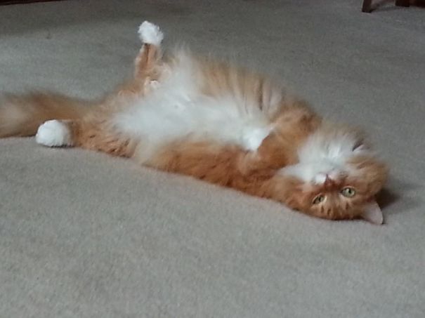 Paint Me, Let Me Show You Sexy.