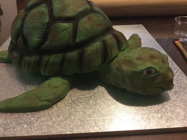Made This For A Friends Daughter To Go With Her Turtle Birthday Presant
