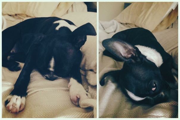 I Don't Want To Get Up