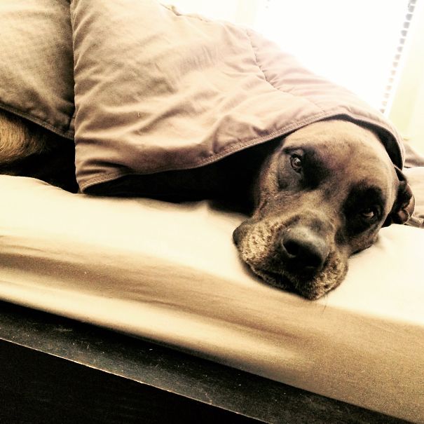 No Way I'm Getting Up