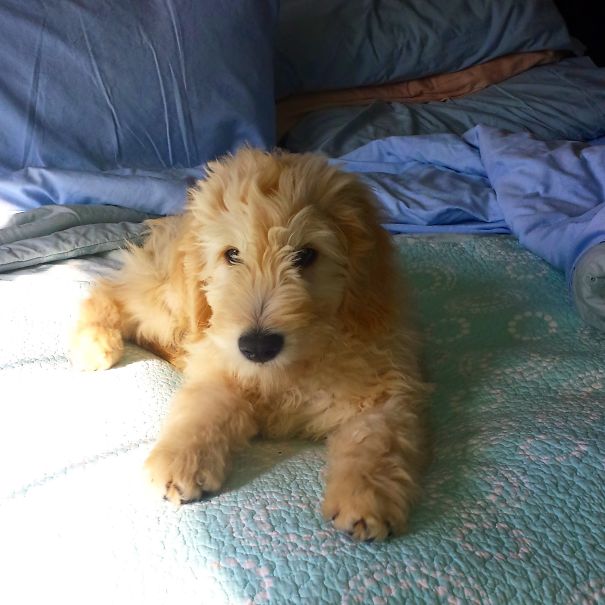 Mommy's Bed Is Comfy.