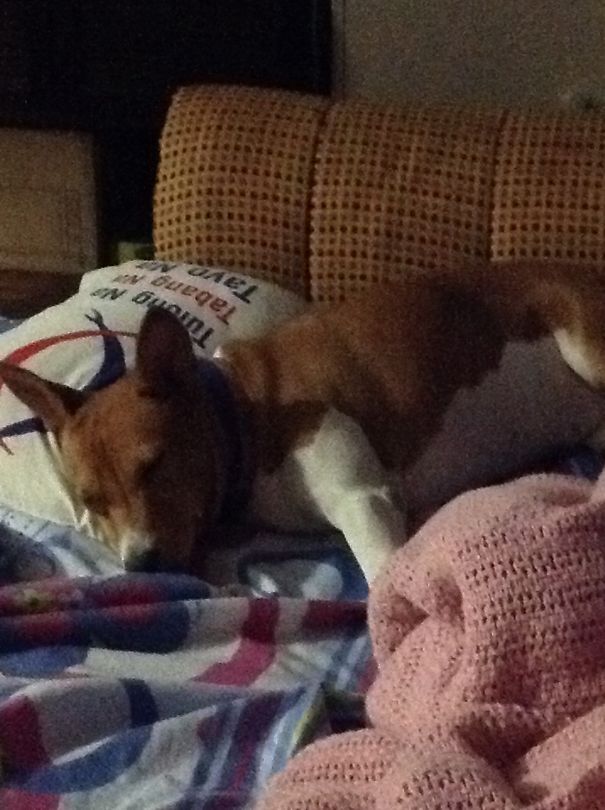 Good Night, Sleep Tight!