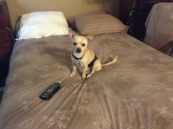 Hey I Was Watching That!