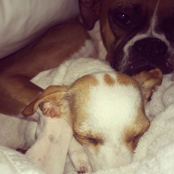 Snooze Time!!!! Zzzz