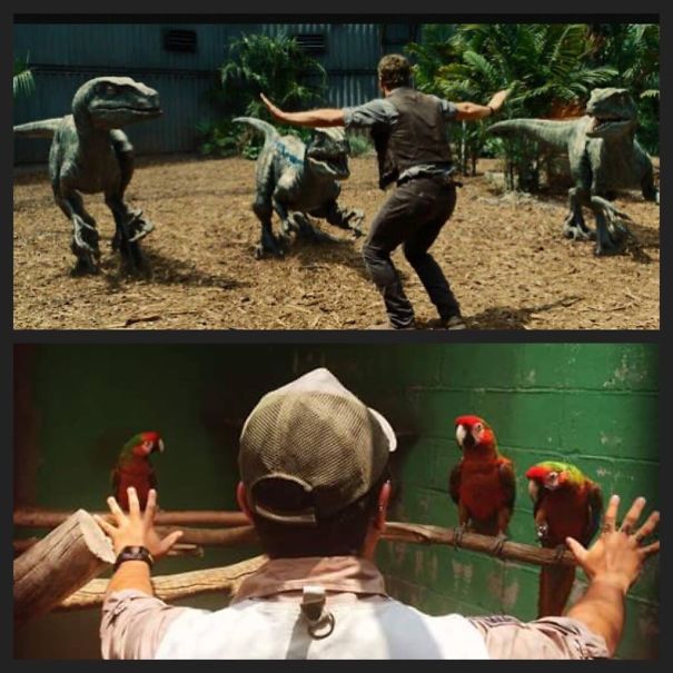 San Juan De Aragón Zoo