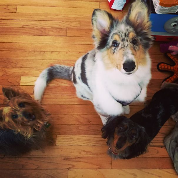 Working From Home Has Some Great Perks