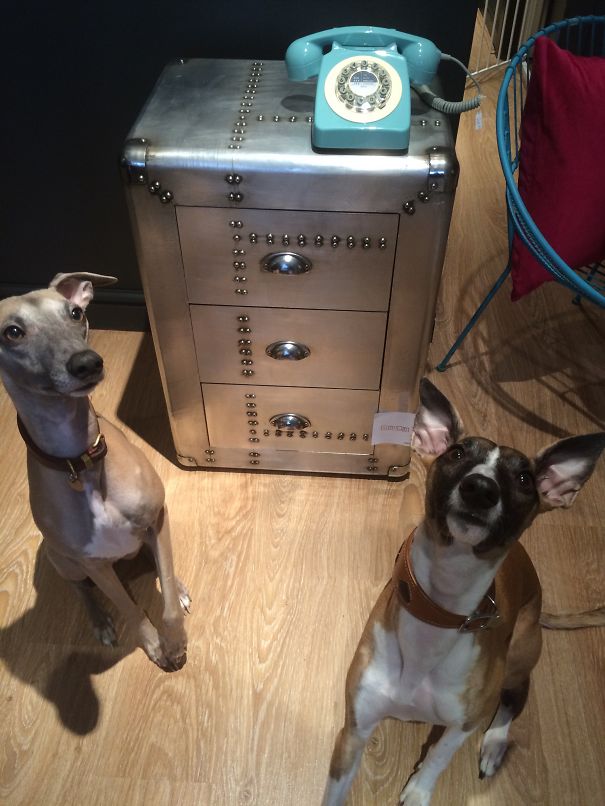 Travis Bickle & Petit William - Aka The Retail Whippets